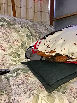 blondiebbc online show from April 1, 2026, 1:34 pm