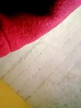 26menny74 online show from December 16, 2025, 3:16 pm