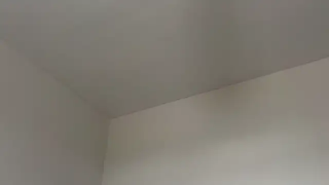 Snapshot of skyejde chatting on February 12, 2026, 2:17 pm skyejde online show from February 12, 2026, 2:17 pm