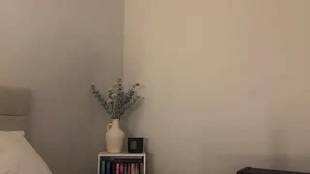 Snapshot of skyejde chatting on January 16, 2026, 4:55 pm skyejde online show from January 16, 2026, 4:55 pm