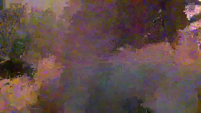 eccomi6996 online show from May 28, 2026, 5:48 am