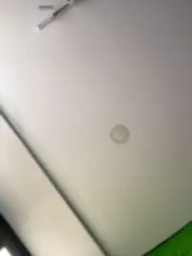 Snapshot of Dulce__Boyd chatting on February 11, 2026, 2:39 pm Dulce Boyd online show from February 11, 2026, 2:39 pm