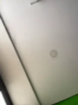 Snapshot of Dulce__Boyd chatting on February 17, 2026, 2:03 pm Dulce Boyd online show from February 17, 2026, 2:03 pm