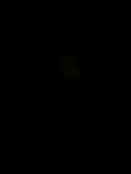 dickysoniee online show from April 5, 2026, 9:21 pm