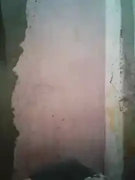 shuelldin online show from February 16, 2025, 5:59 am