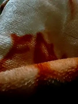 Snapshot of iamriturani chatting on February 11, 2025, 4:11 am iamriturani online show from February 11, 2025, 4:11 am