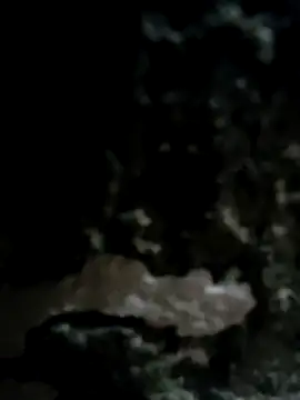 Snapshot of iamriturani chatting on February 11, 2025, 11:09 am iamriturani online show from February 11, 2025, 11:09 am