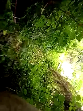 halfArabhalfspanish online show from April 13, 2026, 1:04 pm