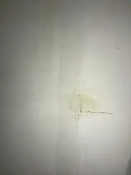 Hamza-Maroki online show from November 21, 2025, 10:09 pm