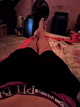 DamAlves49 online show from November 18, 2025, 12:19 pm