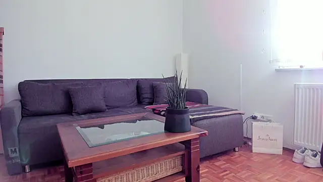 Snapshot of molicaremolicare chatting on November 6, 2025, 7:34 am molicaremolicare online show from November 6, 2025, 7:34 am