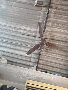 lovely----bhabhi online show from November 24, 2025, 3:39 am