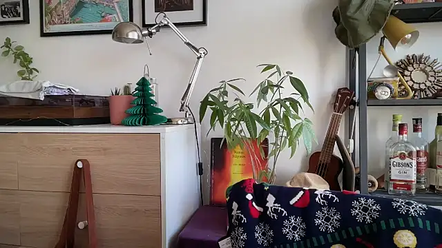 MikymikeBBWD online show from December 16, 2025, 11:25 am