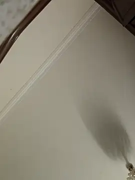 Loly2025 online show from April 19, 2026, 1:17 am