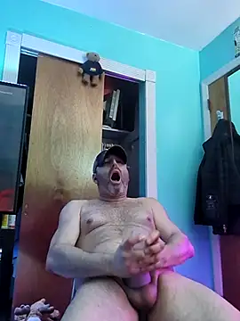 Novabear6996 online show from February 19, 2026, 12:51 am