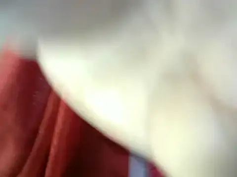 NisatTabassum1 online show from February 19, 2025, 7:17 am