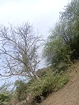 bairobunde online show from February 2, 2026, 9:52 am