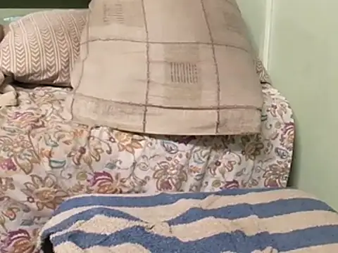 calme odl1 online show from October 18, 2025, 11:23 am