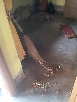 devarbhabhisexpower online show from April 10, 2026, 2:29 am