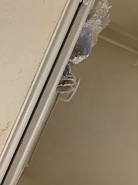 Snapshot of daniel21p chatting on March 10, 2025, 6:34 pm daniel21p online show from March 10, 2025, 6:34 pm