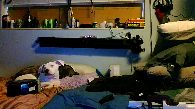 PornStro921 online show from March 17, 2026, 8:45 pm