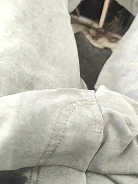 Snapshot of bbclip chatting on November 2, 2025, 8:19 am bbclip online show from November 2, 2025, 8:19 am