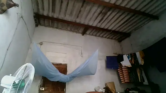 boodjona2 online show from December 19, 2025, 11:12 am