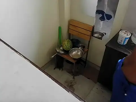 fitbuddy1 online show from February 15, 2026, 6:25 am