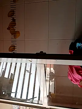 Snapshot of BellyDancer1 chatting on November 5, 2025, 8:50 am BellyDancer1 online show from November 5, 2025, 8:50 am