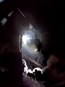 SirJonBradley online show from November 6, 2025, 11:58 am