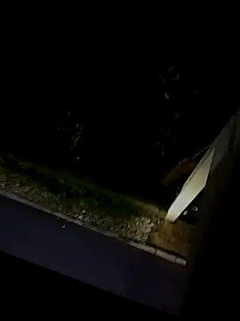 Snapshot of BUTTerflyTODAY chatting on March 1, 2026, 3:39 am BUTTerflyTODAY online show from March 1, 2026, 3:39 am