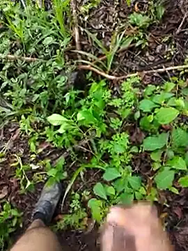 paugrosso553 online show from March 19, 2026, 7:58 pm