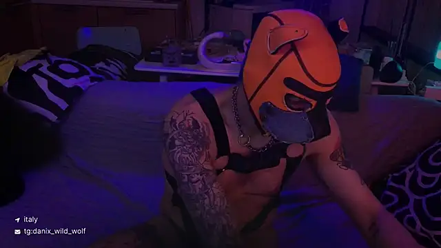 danix wild wolf online show from March 15, 2026, 10:50 pm