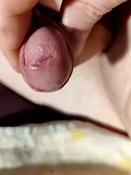 Snapshot of --Serhei-- chatting on February 7, 2026, 8:11 am --Serhei-- online show from February 7, 2026, 8:11 am