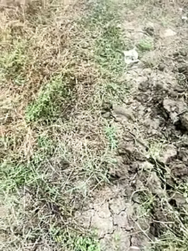 himvilohi08 online show from January 9, 2026, 4:08 am