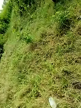 himvilohi08 online show from October 6, 2025, 4:13 am