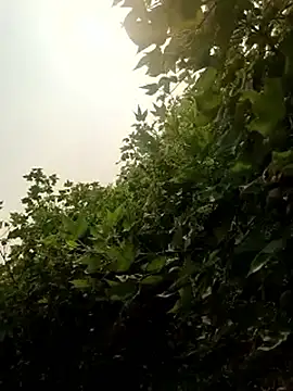 himvilohi08 online show from October 22, 2025, 10:25 am