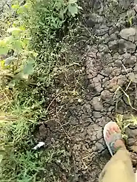 himvilohi08 online show from March 21, 2026, 12:31 pm