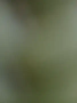 Sexy-nandani-baby online show from November 9, 2025, 6:06 am