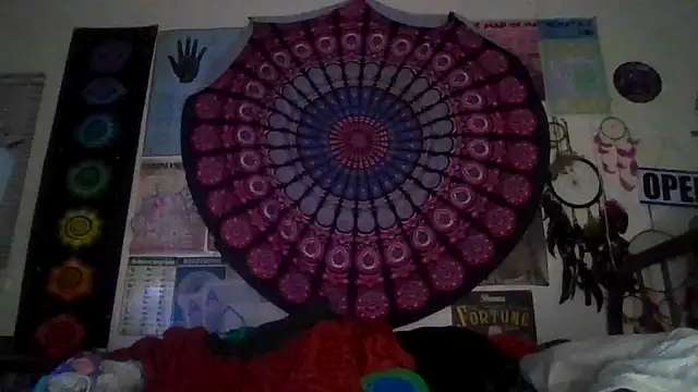 Snapshot of GardeniaFields chatting on March 2, 2026, 9:16 am GardeniaFields online show from March 2, 2026, 9:16 am