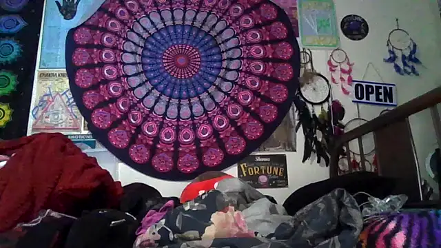 Snapshot of GardeniaFields chatting on February 24, 2026, 8:59 am GardeniaFields online show from February 24, 2026, 8:59 am