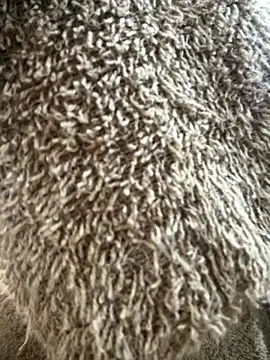 Snapshot of VictoriaGerard_Pink chatting on October 17, 2025, 7:04 pm VictoriaGerard Pink online show from October 17, 2025, 7:04 pm