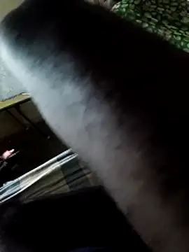 PolarFriend0 online show from February 14, 2026, 4:40 pm