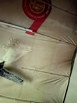 Snapshot of adrija94 chatting on November 22, 2025, 4:11 am adrija94 online show from November 22, 2025, 4:11 am