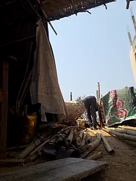 hot integer online show from March 14, 2026, 6:08 am