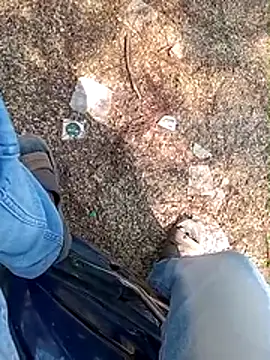 A-1PLAYBOY0 online show from January 13, 2026, 6:50 am