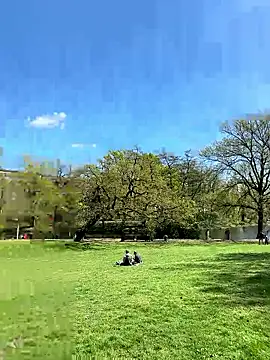 NoLimit365 online show from April 23, 2026, 11:38 am