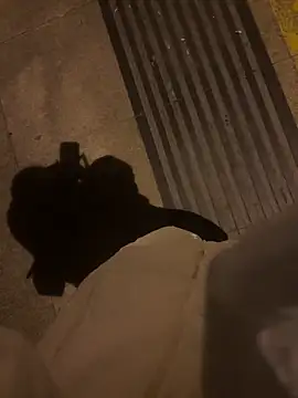 xiaoyuan01 online show from January 6, 2026, 2:32 pm