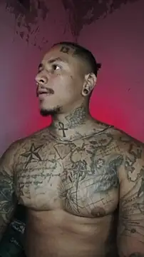 David tatto1 online show from February 3, 2026, 3:04 am