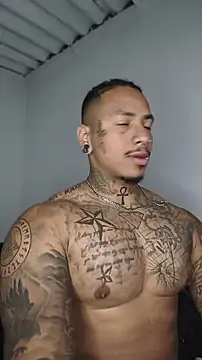 David tatto1 online show from July 1, 2026, 3:07 am